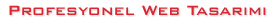 Profesyonel Web Tasar�m�